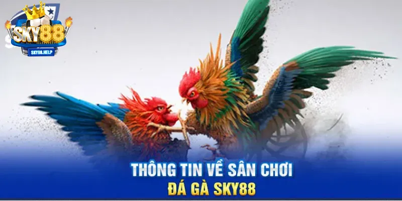 Đá gà cực cháy với đa dạng loại gà chiến tại sky88