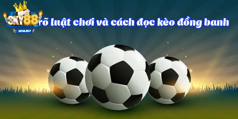 Cách tính kèo cực chuẩn trong cá cược  tại sky88